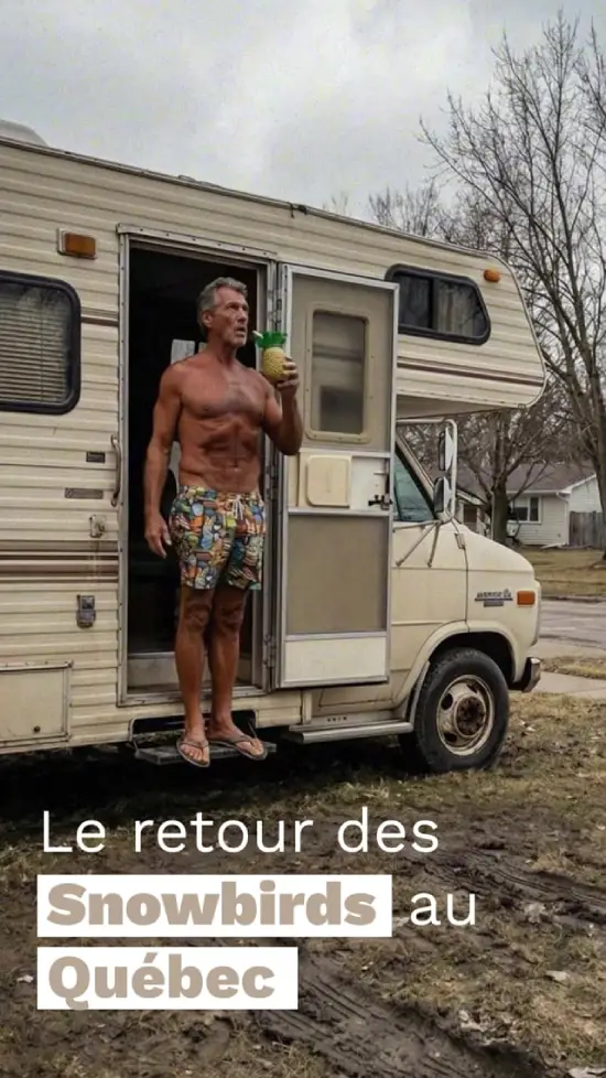 Le retour des Snowbirds au Québec
